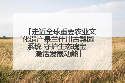 走近全球重要农业文化遗产皋兰什川古梨园系统 守护生态瑰宝 激活发展动能