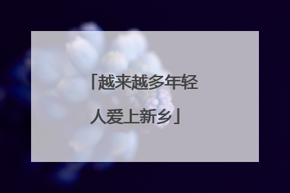 越来越多年轻人爱上新乡