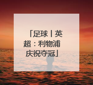 足球丨英超：利物浦庆祝夺冠