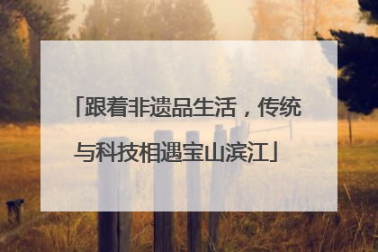 跟着非遗品生活，传统与科技相遇宝山滨江