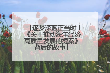 逐梦深蓝正当时！《关于推动海洋经济高质量发展的提案》背后的故事