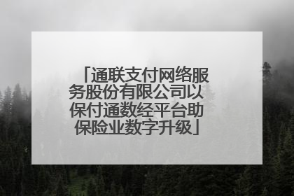通联支付网络服务股份有限公司以保付通数经平台助保险业数字升级
