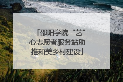 邵阳学院“艺”心志愿者服务站助推和美乡村建设