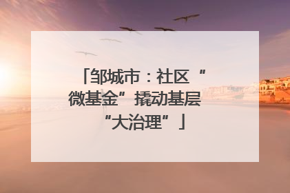 邹城市：社区“微基金”撬动基层“大治理”