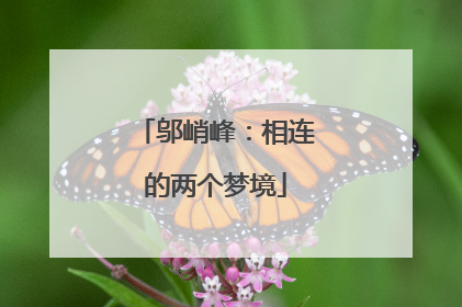 邬峭峰：相连的两个梦境