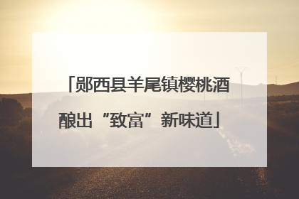 郧西县羊尾镇樱桃酒酿出“致富”新味道