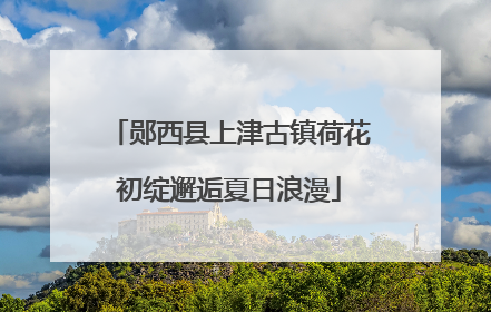 郧西县上津古镇荷花初绽邂逅夏日浪漫