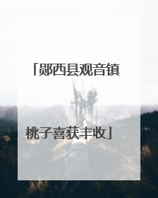 郧西县观音镇桃子喜获丰收