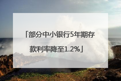 部分中小银行5年期存款利率降至1.2%