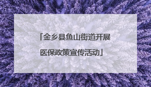 金乡县鱼山街道开展医保政策宣传活动