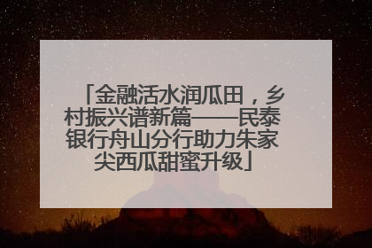 金融活水润瓜田，乡村振兴谱新篇——民泰银行舟山分行助力朱家尖西瓜甜蜜升级