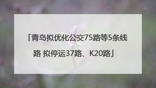 青岛拟优化公交75路等5条线路 拟停运37路、K20路