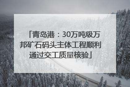 青岛港：30万吨级万邦矿石码头主体工程顺利通过交工质量核验