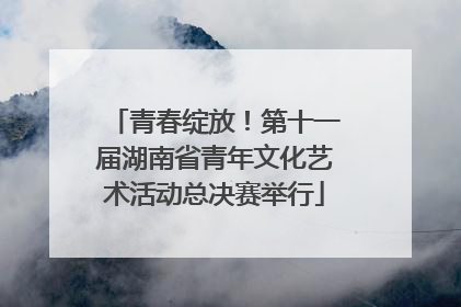 青春绽放！第十一届湖南省青年文化艺术活动总决赛举行