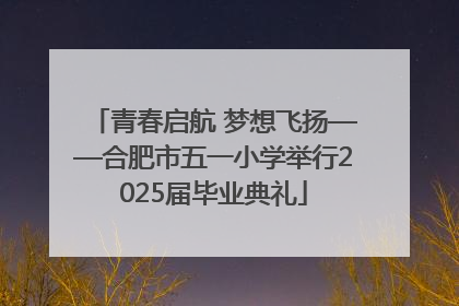青春启航 梦想飞扬——合肥市五一小学举行2025届毕业典礼