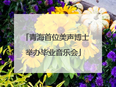 青海首位美声博士举办毕业音乐会