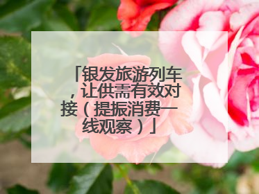 银发旅游列车，让供需有效对接（提振消费一线观察）