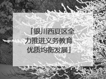 银川西夏区全力推进义务教育优质均衡发展