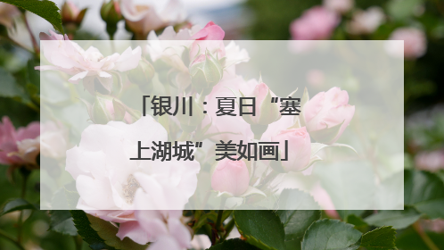 银川：夏日“塞上湖城”美如画