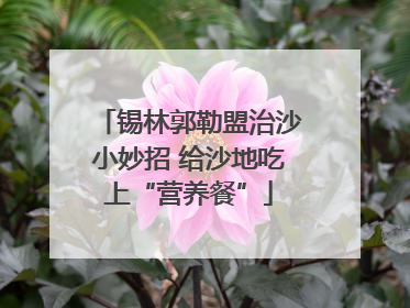 锡林郭勒盟治沙小妙招 给沙地吃上“营养餐”