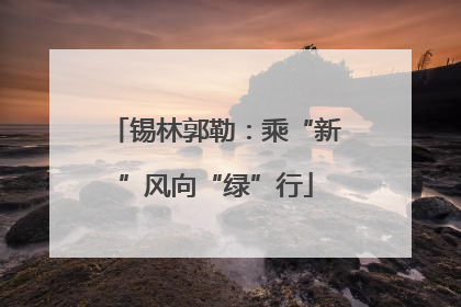 锡林郭勒：乘“新”风向“绿”行