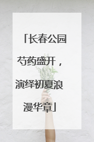 长春公园芍药盛开，演绎初夏浪漫华章