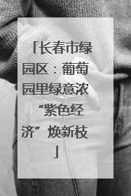 长春市绿园区：葡萄园里绿意浓 “紫色经济”焕新枝