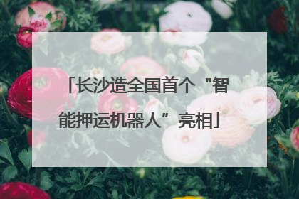 长沙造全国首个“智能押运机器人”亮相