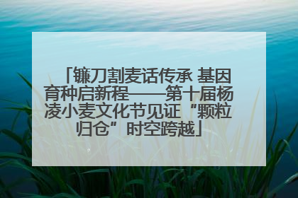 镰刀割麦话传承 基因育种启新程——第十届杨凌小麦文化节见证“颗粒归仓”时空跨越
