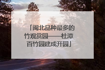 闽北品种最多的竹观赏园——杜潭百竹园建成开园