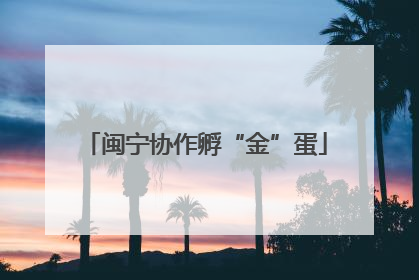 闽宁协作孵“金”蛋