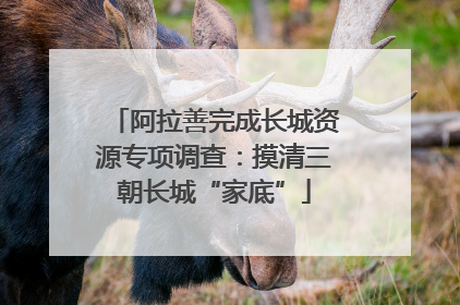 阿拉善完成长城资源专项调查：摸清三朝长城“家底”
