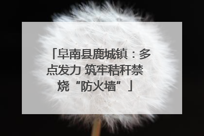 阜南县鹿城镇：多点发力 筑牢秸秆禁烧“防火墙”