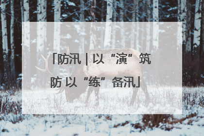 防汛｜以“演”筑防 以“练”备汛