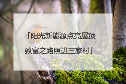 阳光新能源点亮屋顶 致富之路照进三家村