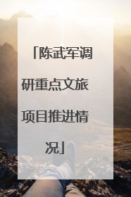 陈武军调研重点文旅项目推进情况
