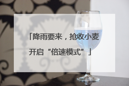 降雨要来，抢收小麦开启“倍速模式”