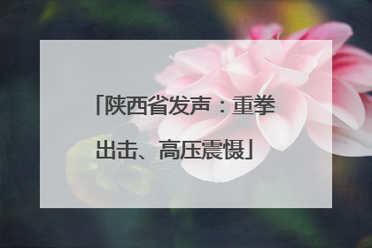 陕西省发声：重拳出击、高压震慑