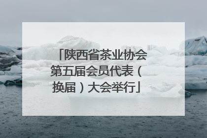 陕西省茶业协会第五届会员代表（换届）大会举行