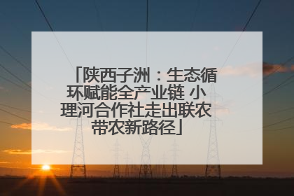 陕西子洲：生态循环赋能全产业链 小理河合作社走出联农带农新路径