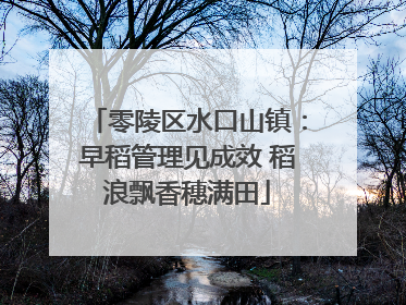 零陵区水口山镇：早稻管理见成效 稻浪飘香穗满田