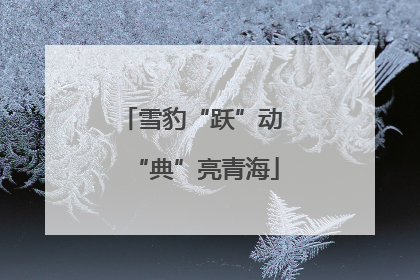 雪豹“跃”动 “典”亮青海