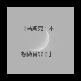 马斯克：不想做替罪羊