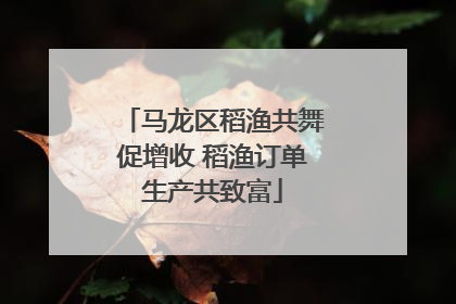 马龙区稻渔共舞促增收 稻渔订单生产共致富