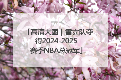 高清大图｜雷霆队夺得2024-2025赛季NBA总冠军