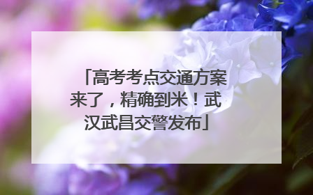 高考考点交通方案来了，精确到米！武汉武昌交警发布