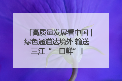 高质量发展看中国｜绿色通道达境外 输送三江“一口鲜”