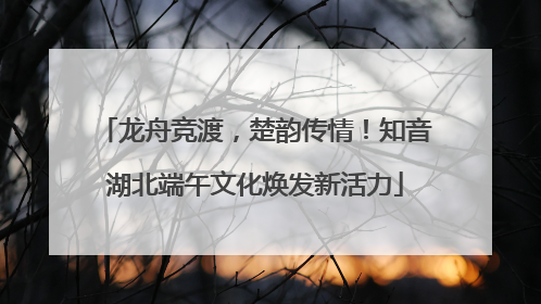 龙舟竞渡，楚韵传情！知音湖北端午文化焕发新活力