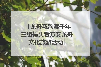 龙舟载韵渡千年 三组镜头看万安龙舟文化旅游活动