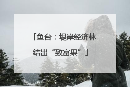 鱼台：堤岸经济林结出“致富果”